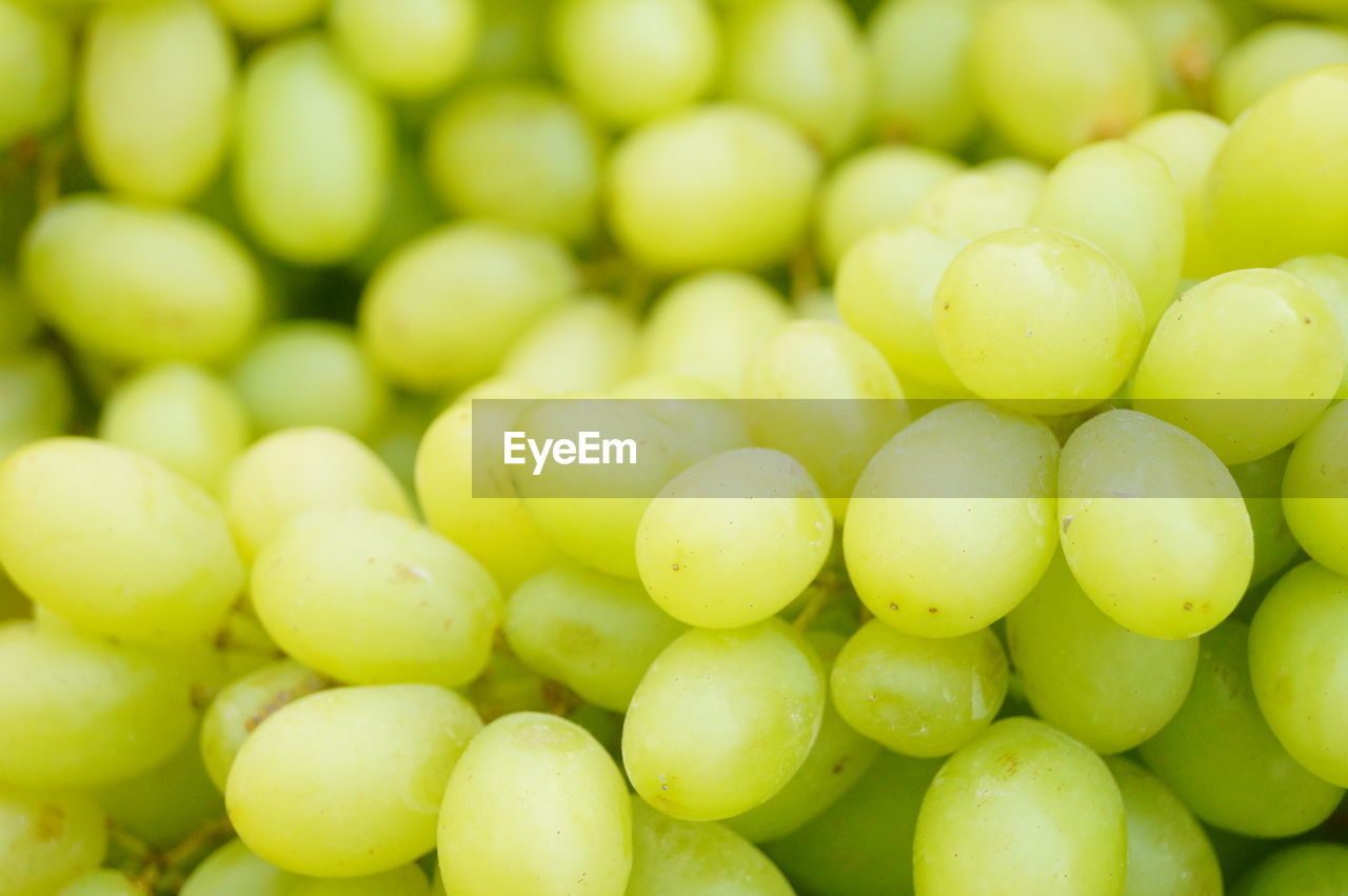 FULL FRAME SHOT OF GRAPES IN GREEN BACKGROUND