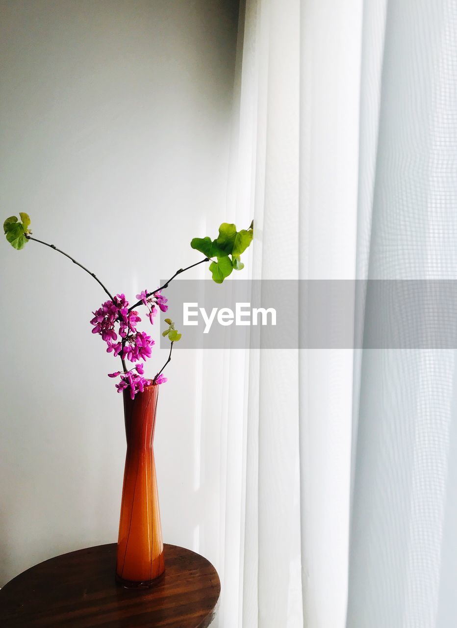 CLOSE-UP OF VASE ON TABLE