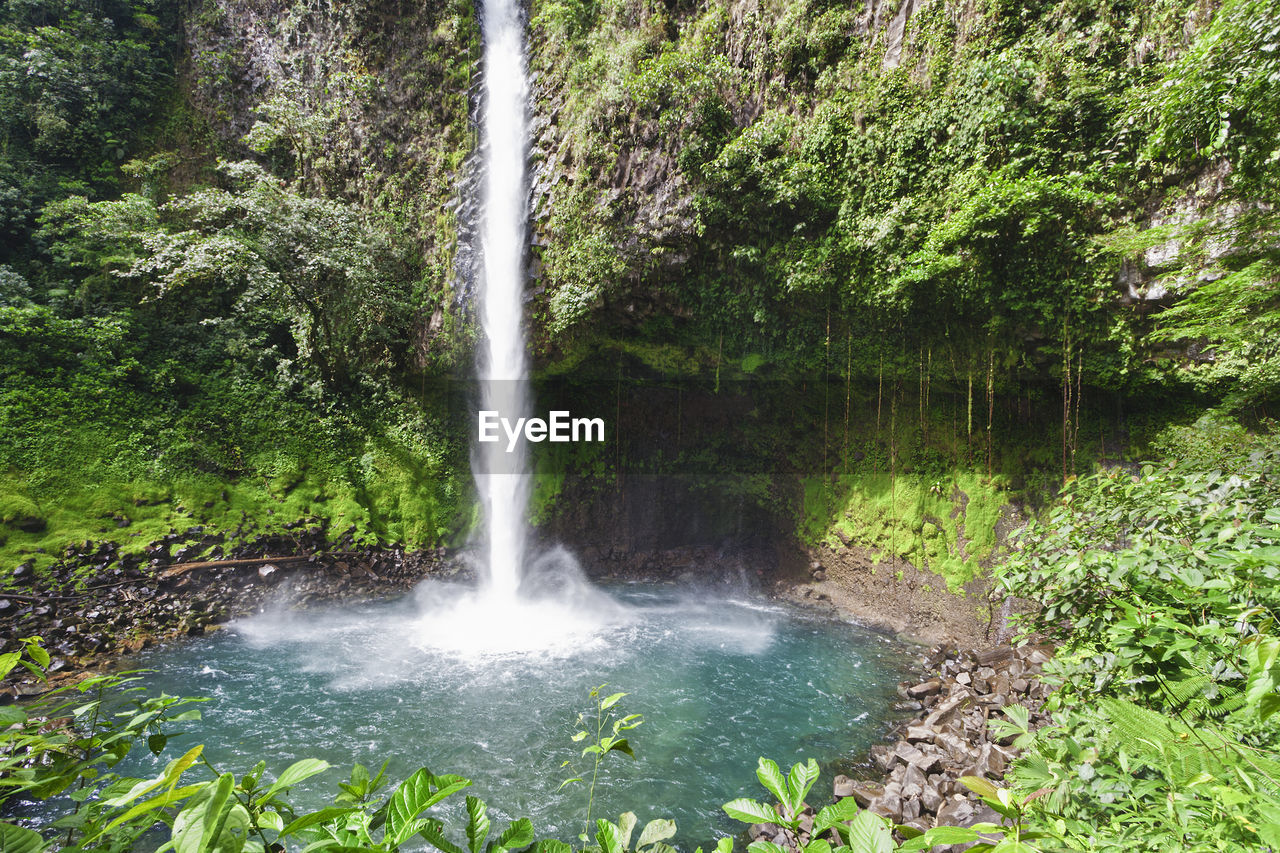 Scenic view of waterfall