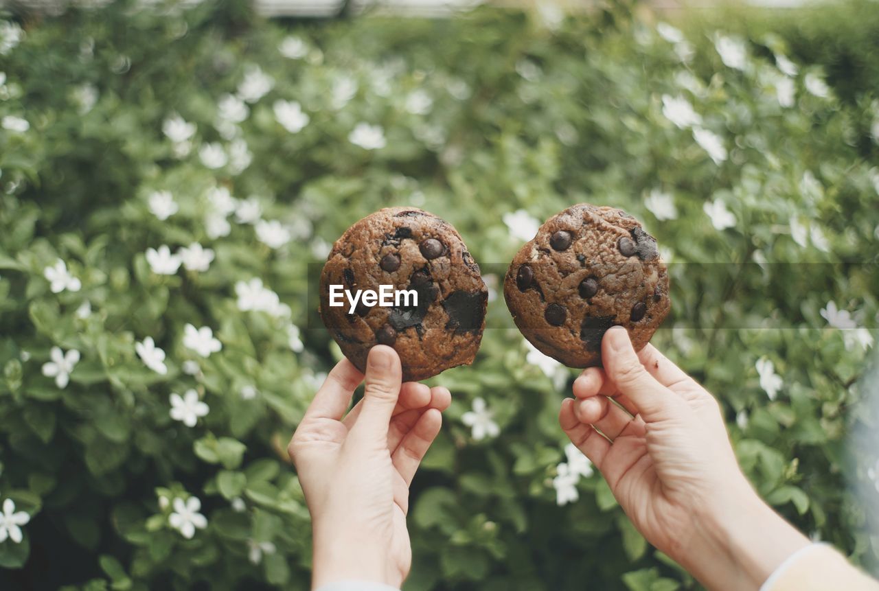 Midsection of person holding cookie against plants