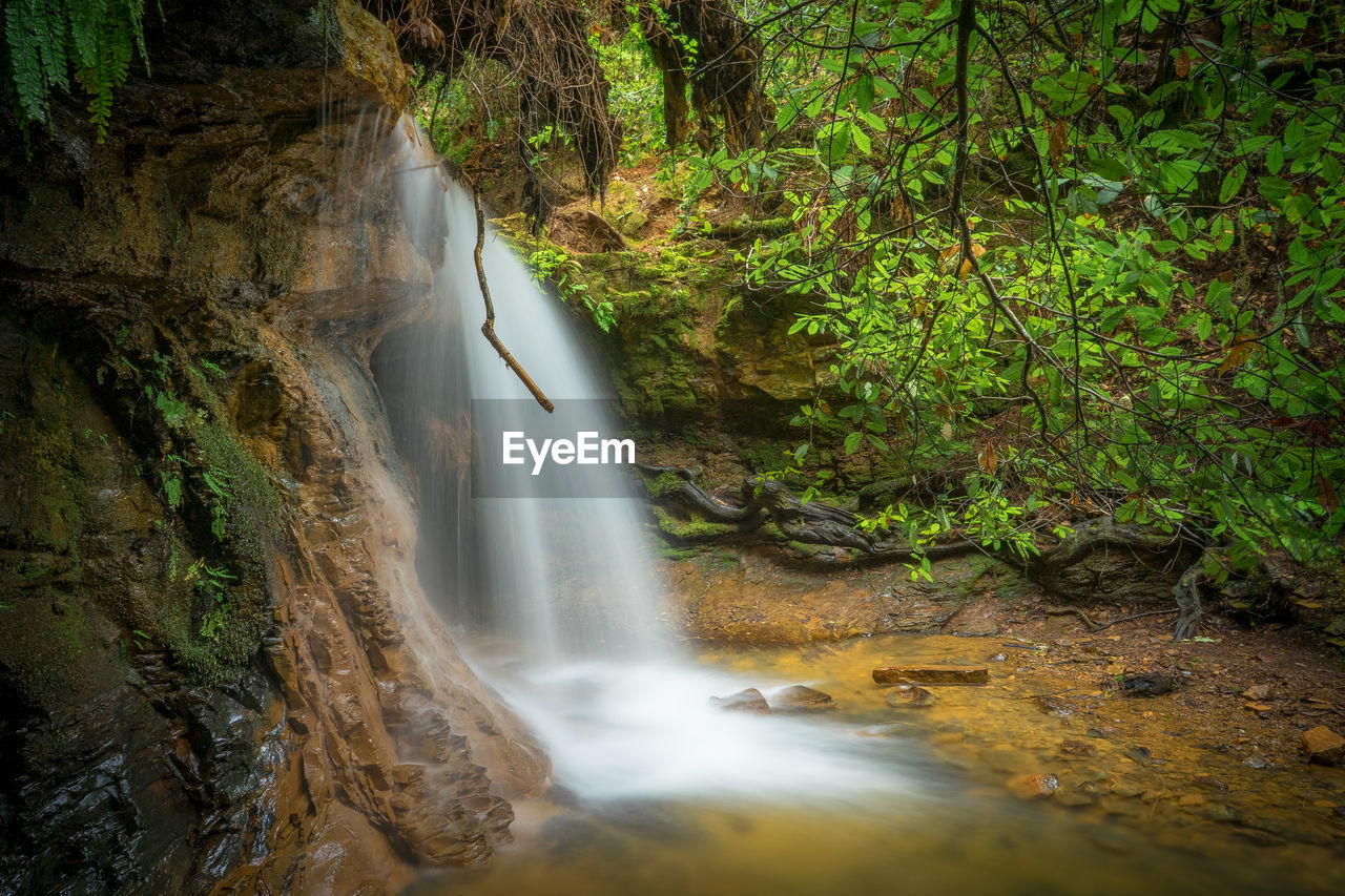 WATERFALL IN FOREST