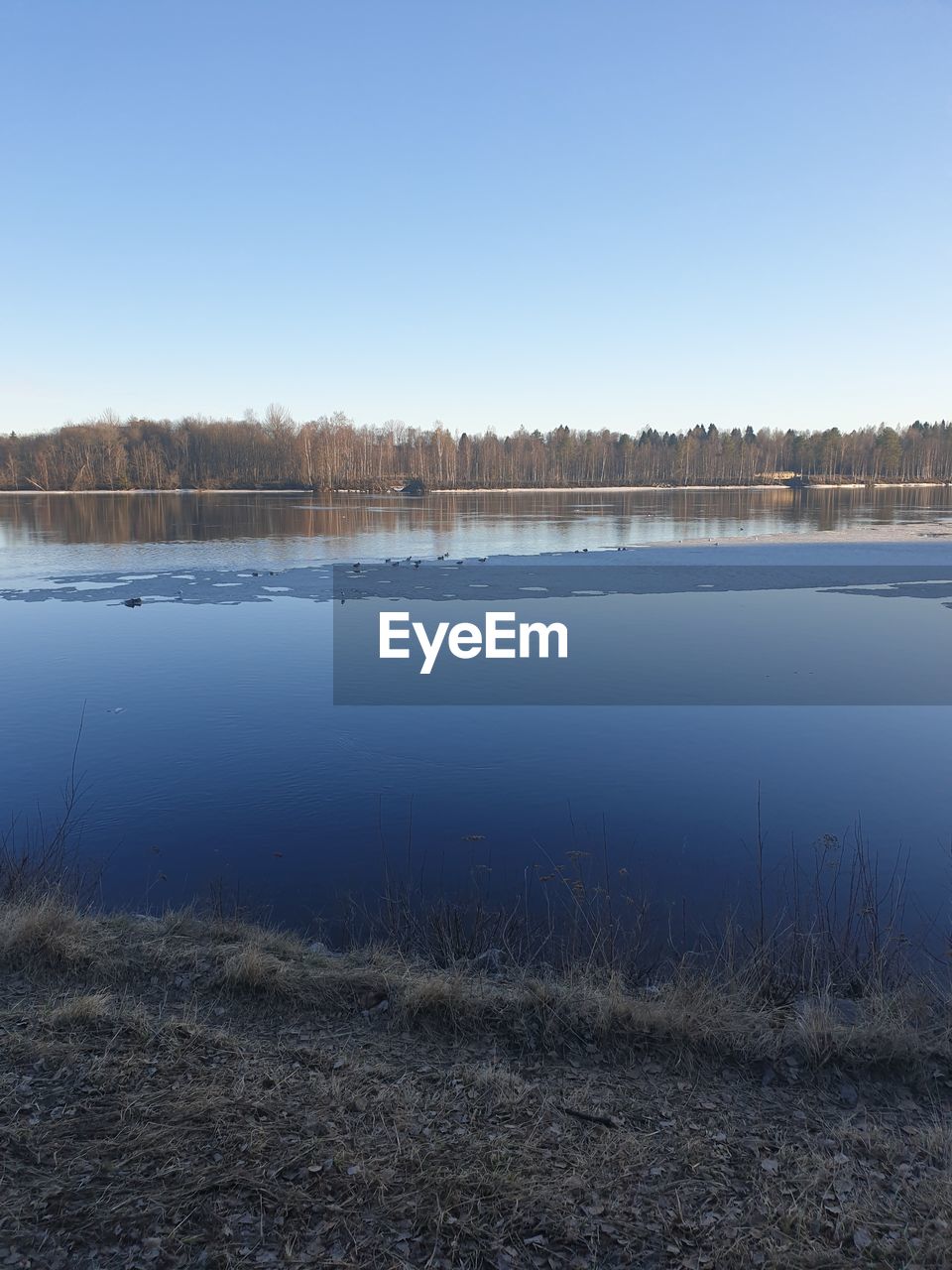 SCENIC VIEW OF CALM LAKE AGAINST CLEAR SKY