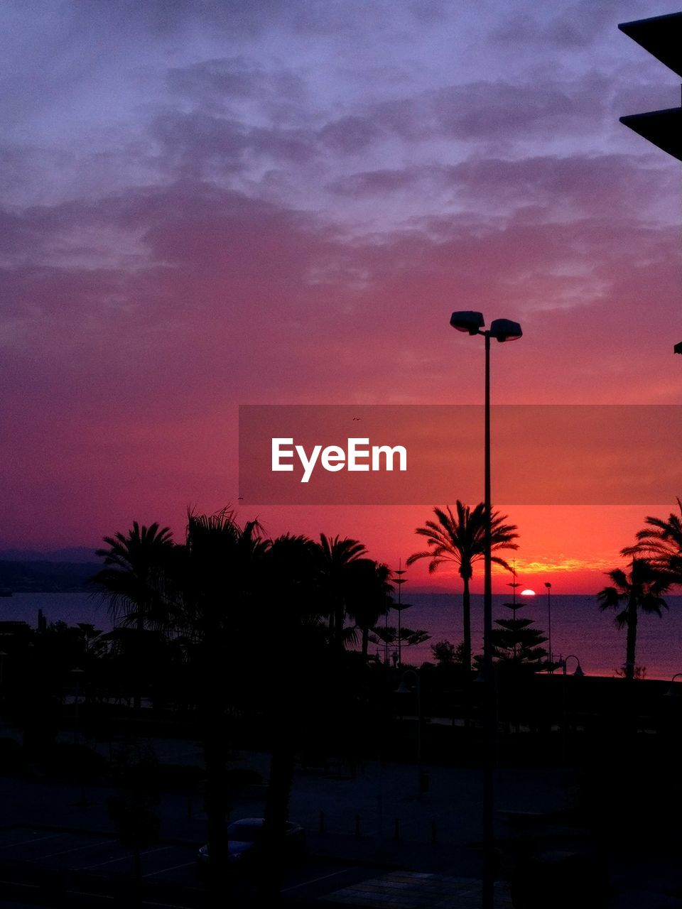 Silhouette palm trees against sky during sunset