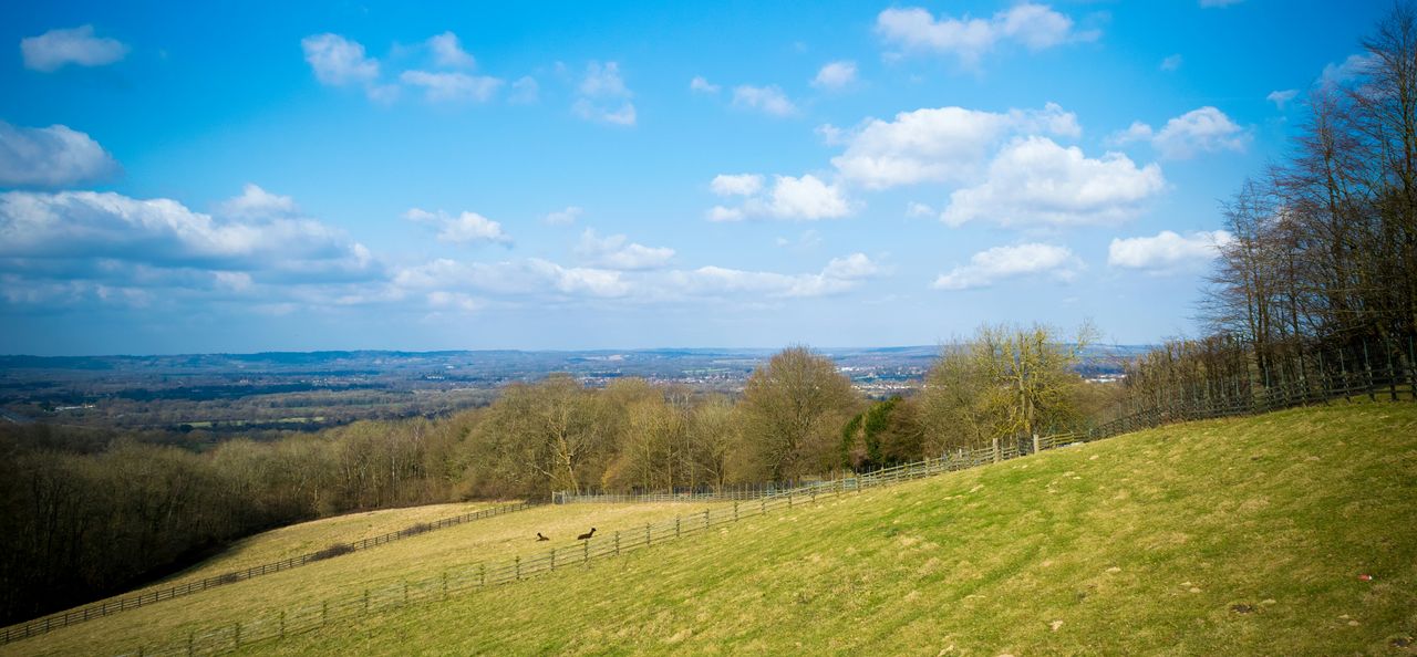 View of landscape