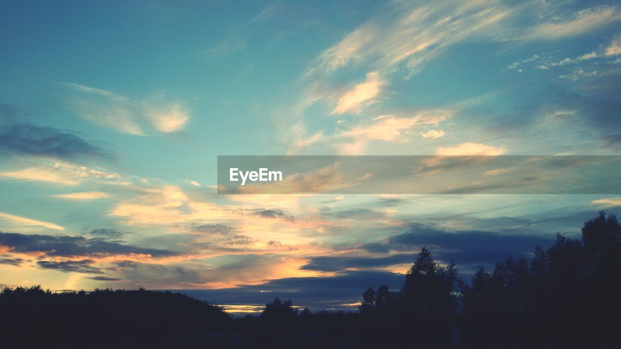 Silhouette of trees at sunset