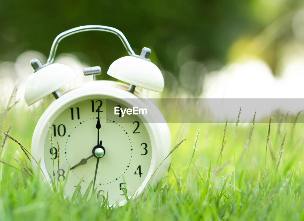 CLOSE-UP OF CLOCK ON GRASS IN FIELD