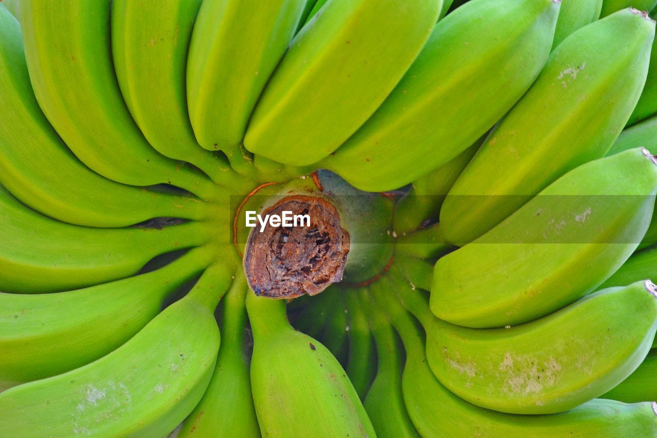 Full frame shot of banana