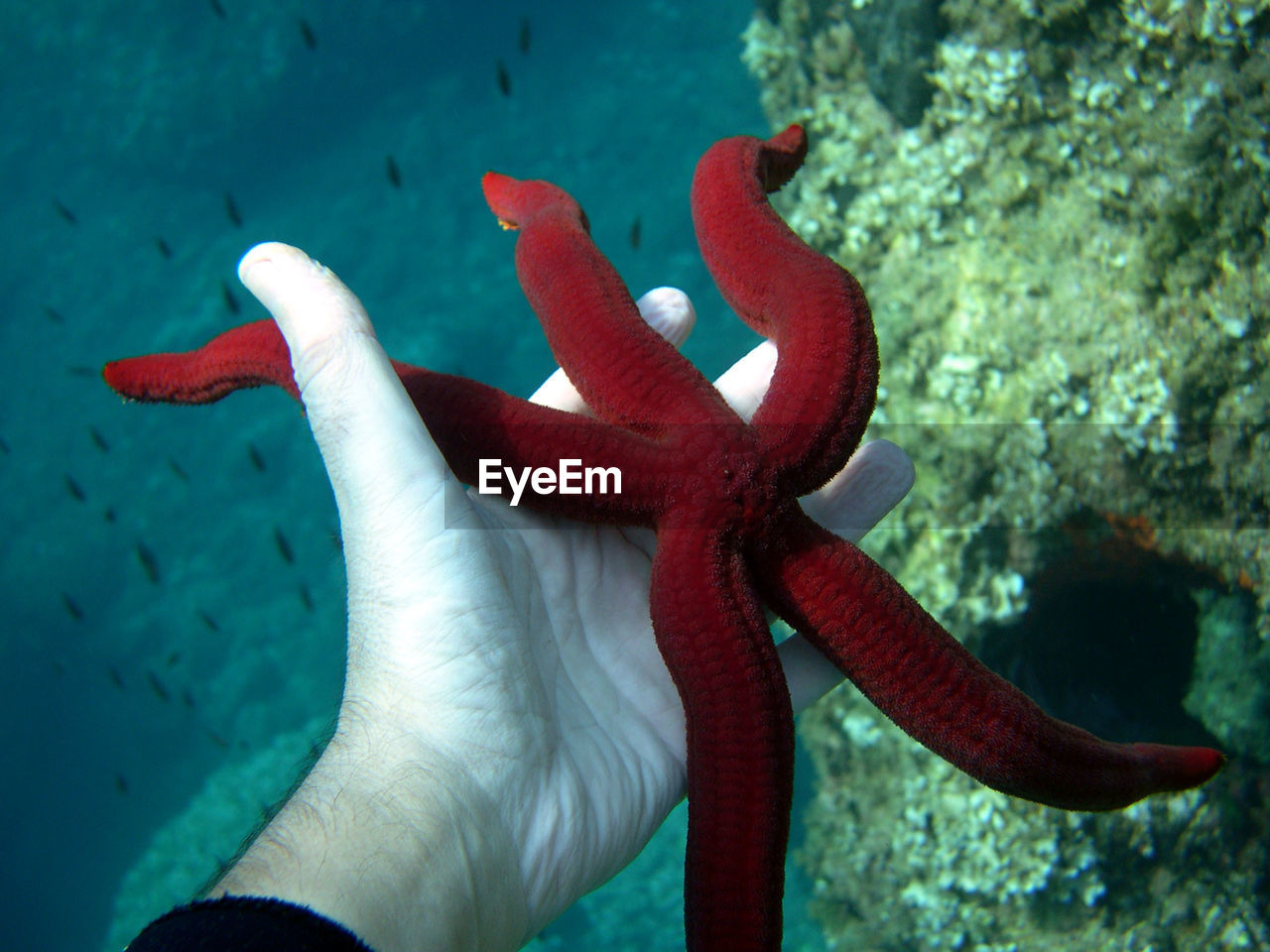 CLOSE-UP OF A HAND ON SEA