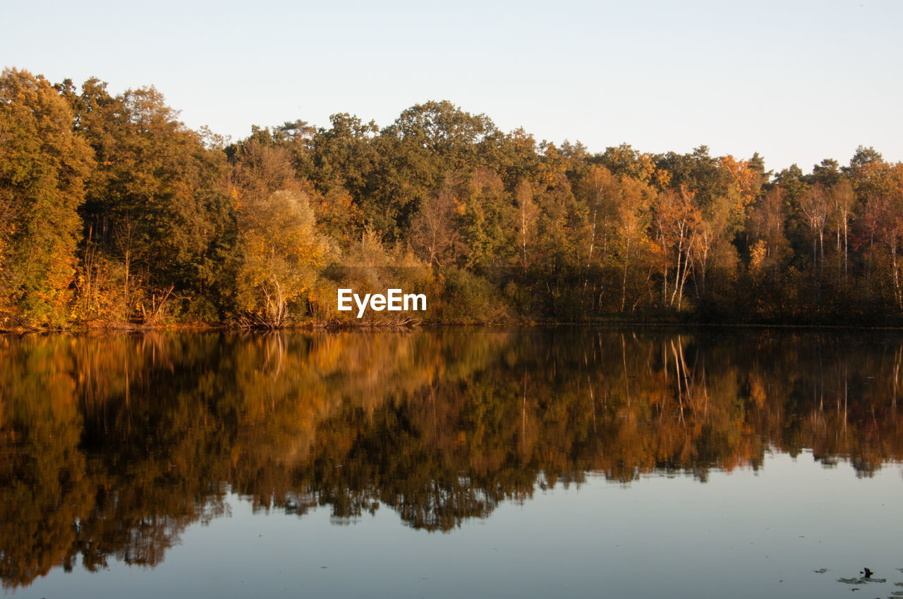 Reflection of trees in lake against sky during autumn