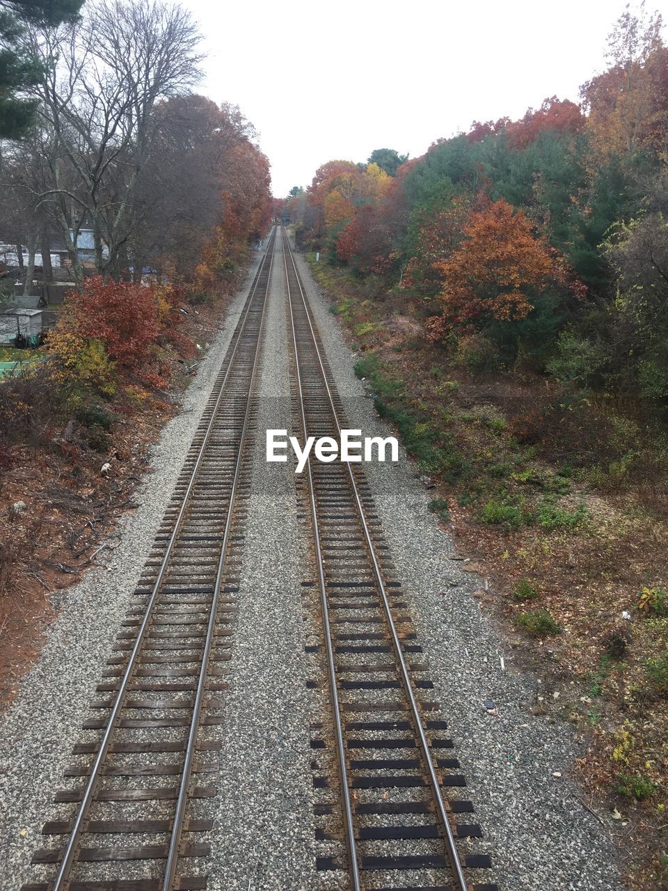 RAILWAY TRACKS AMIDST TREES AGAINST SKY