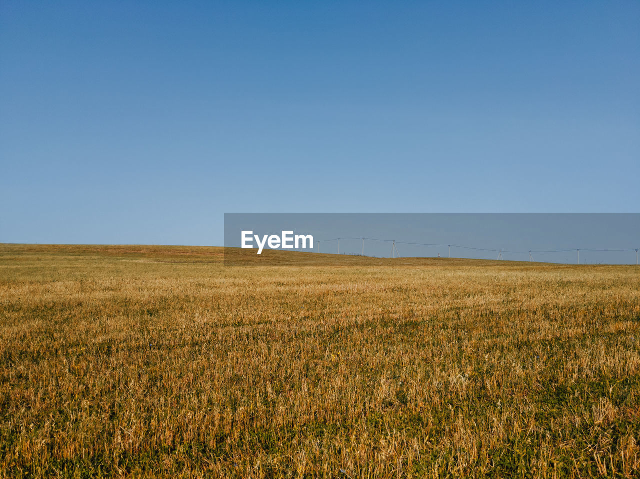 Scenic view of field against clear sky