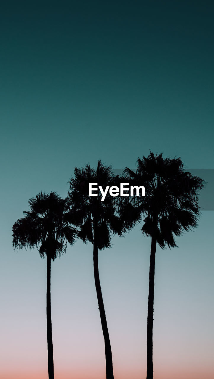 Low angle view of silhouette palm trees against clear sky