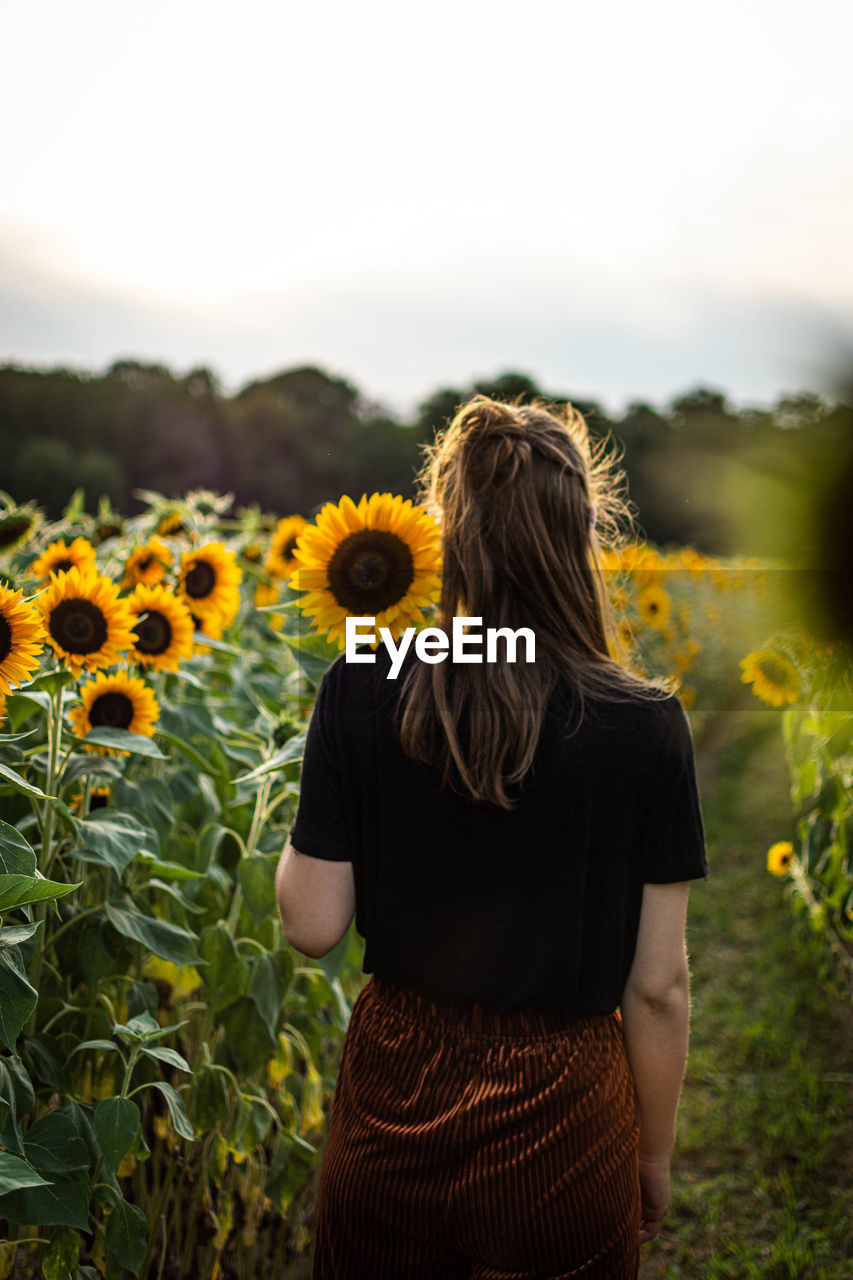 Rear view of woman standing by sunflower plants against sky