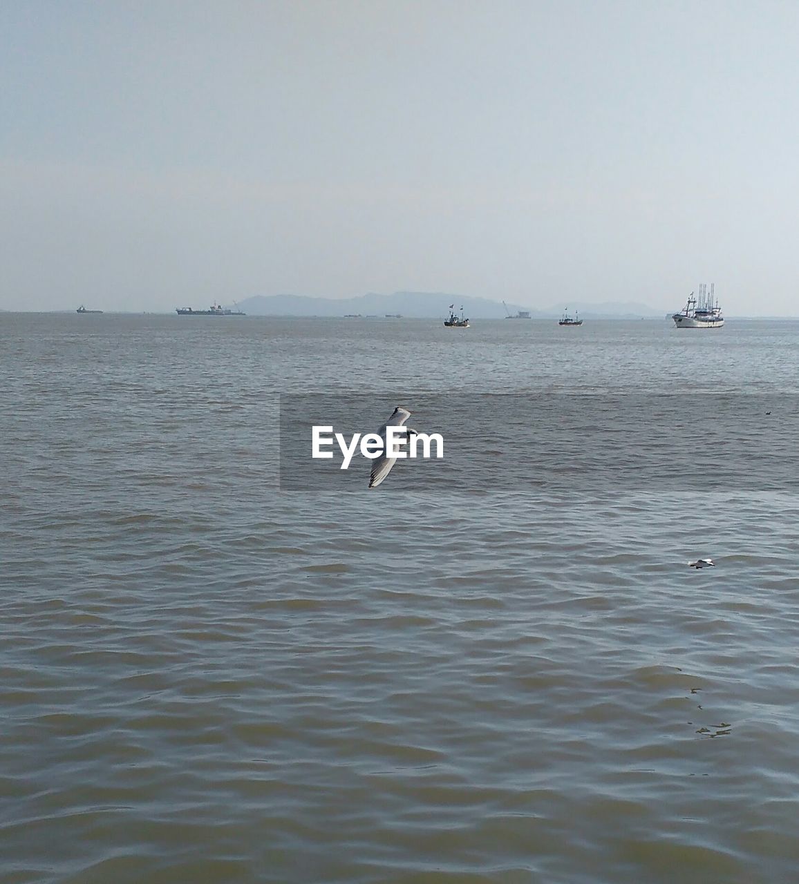 VIEW OF BIRDS IN SEA AGAINST SKY