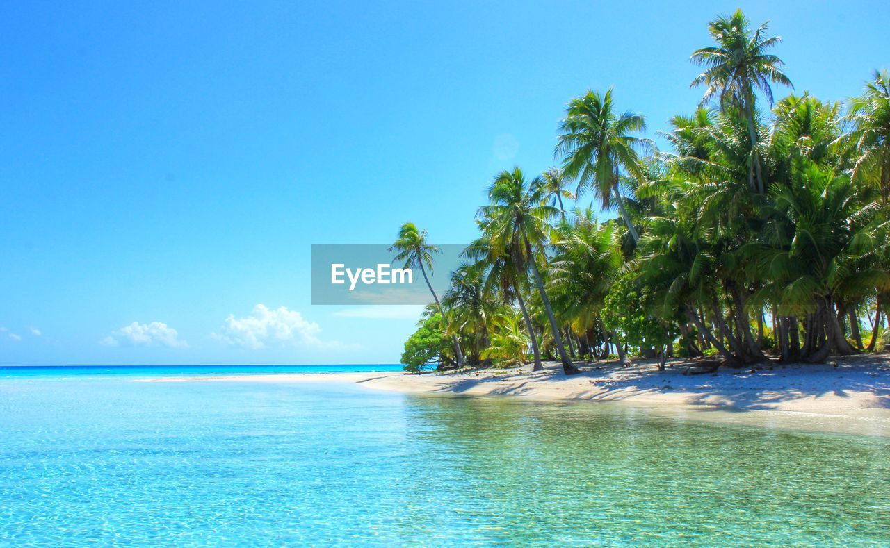 Scenic view of beach against blue sky