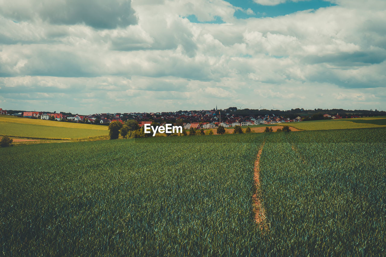 AGRICULTURAL FIELD AGAINST SKY