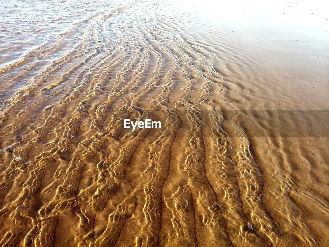 HIGH ANGLE VIEW OF SANDY BEACH WITH SEA