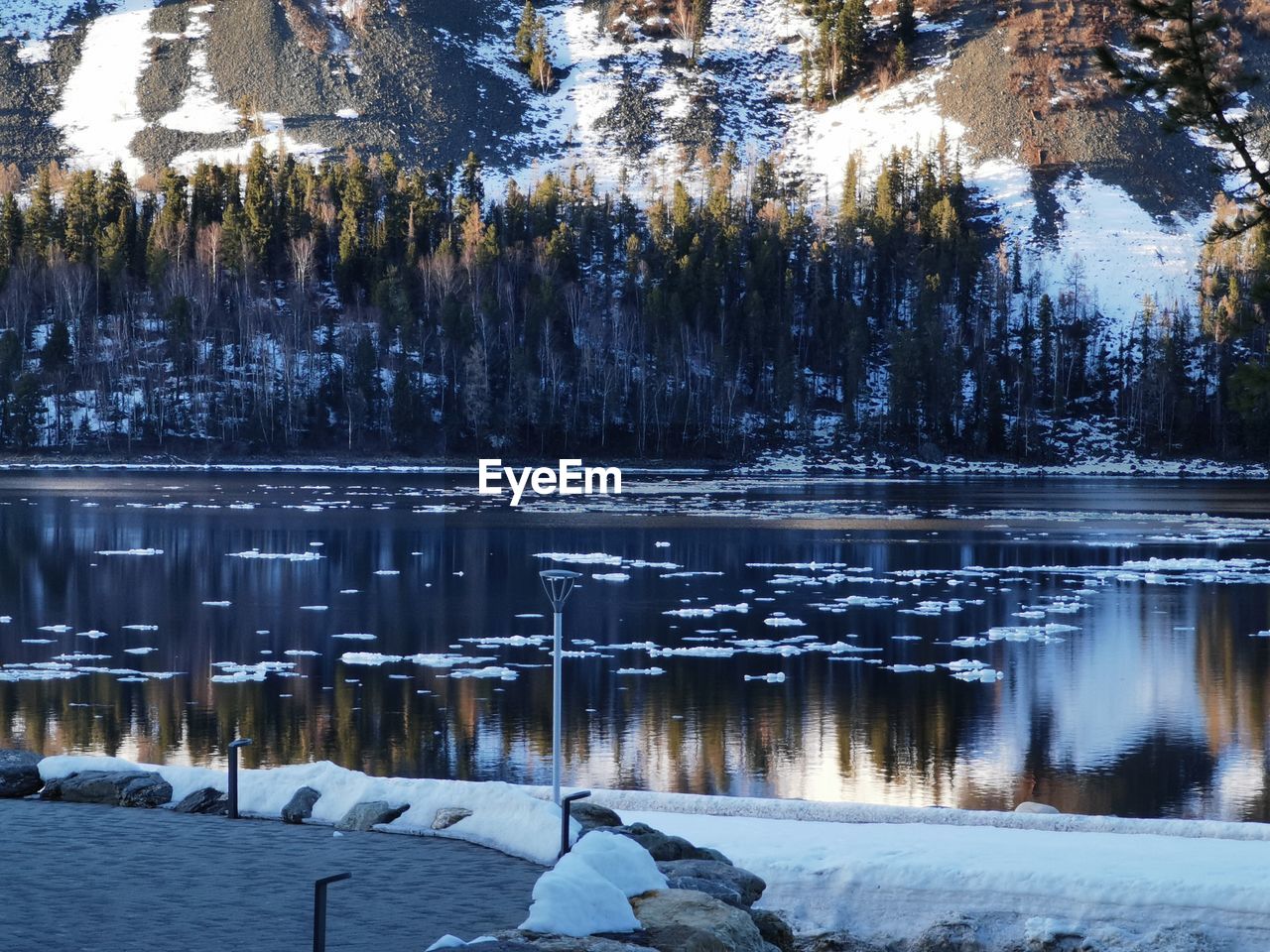 Frozen lake against trees during winter