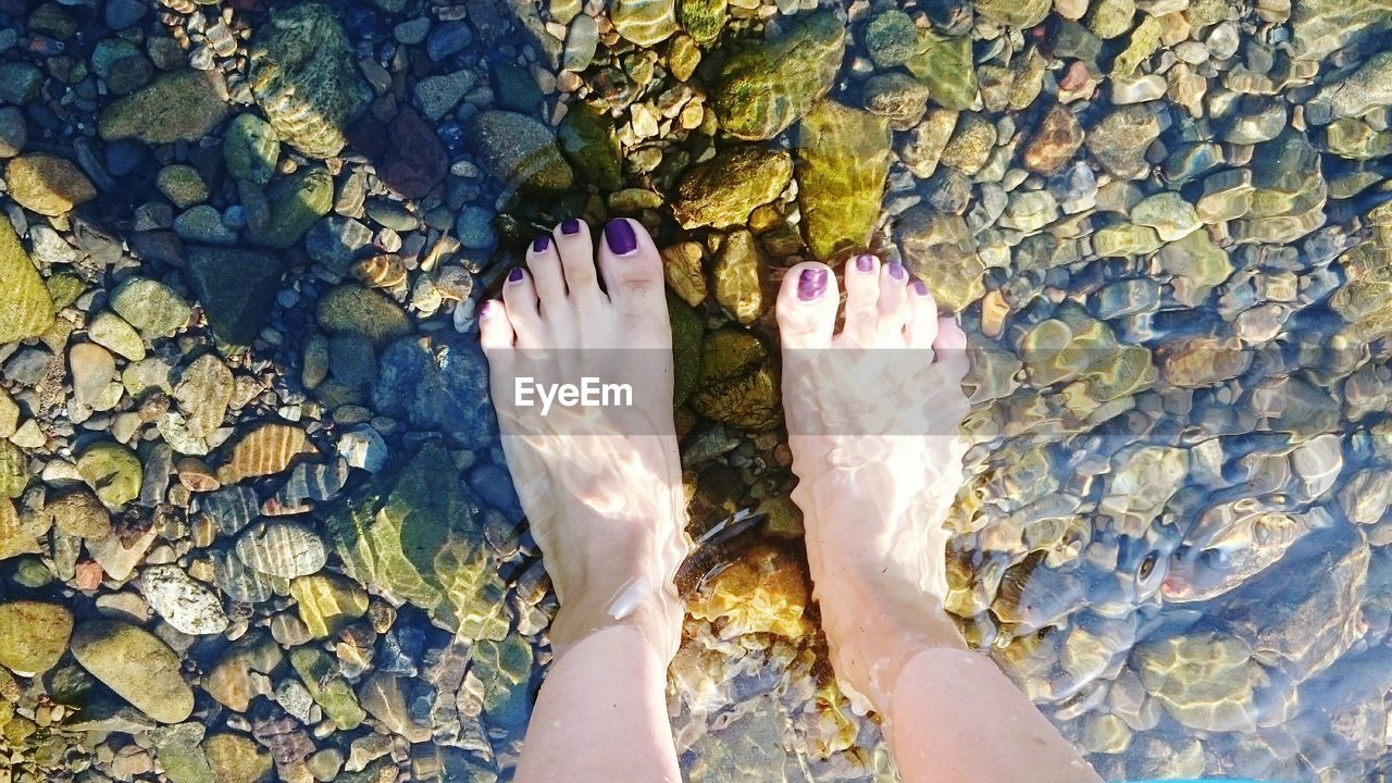 High angle view of woman standing in water