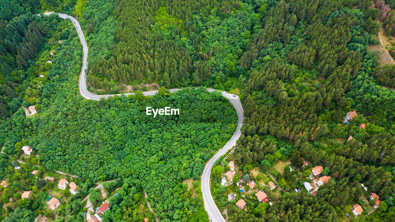 Aerial view of winding road trough the dense woods.