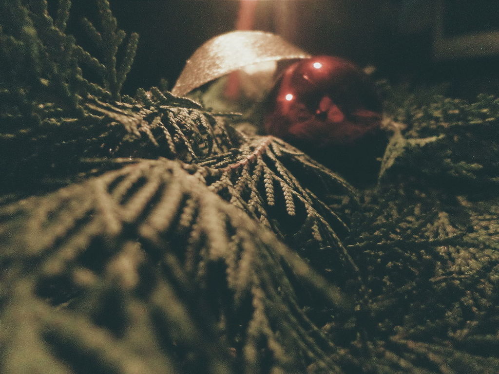 Close-up of christmas tree at home