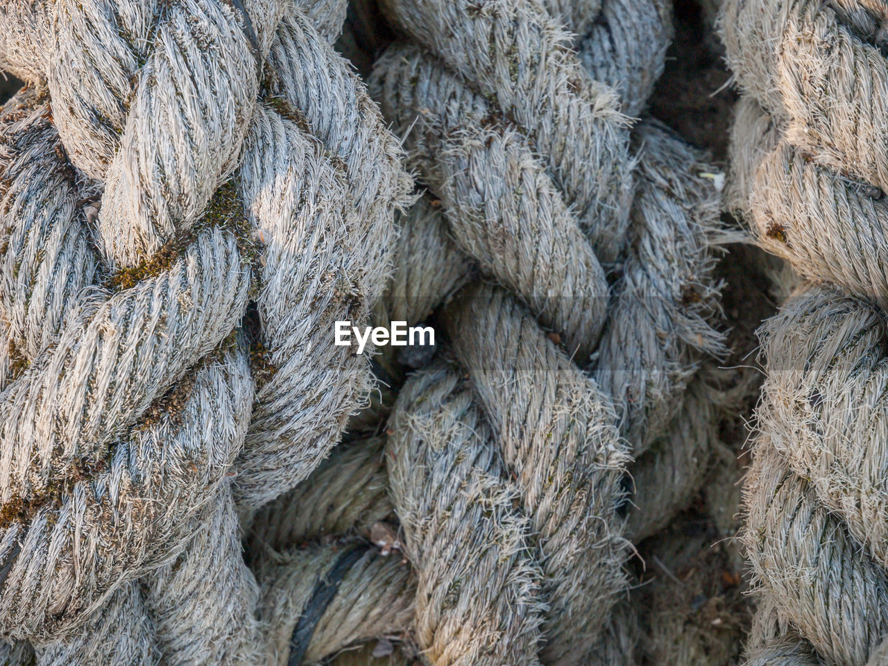 Full frame shot of ropes