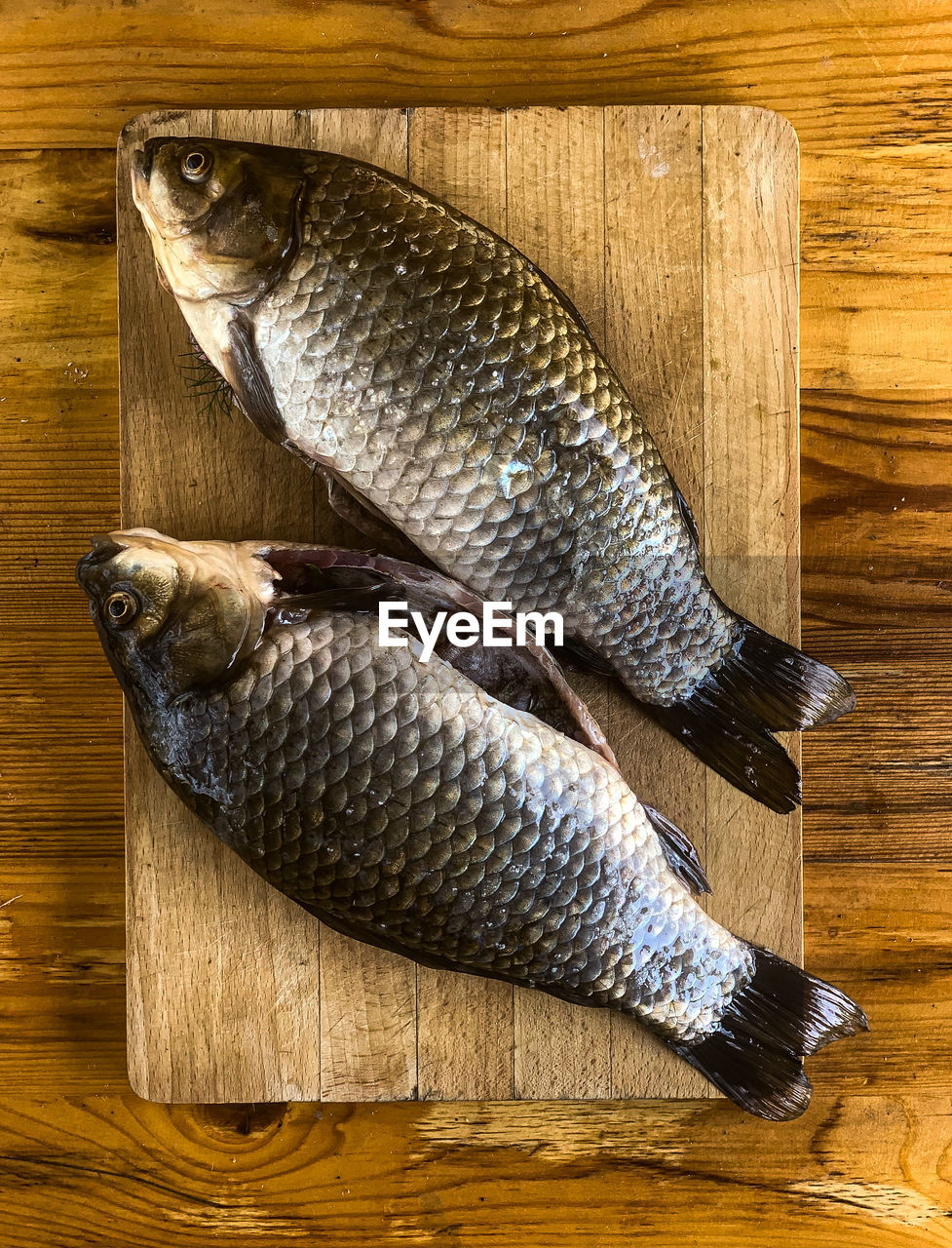 HIGH ANGLE VIEW OF DEAD FISH ON TABLE