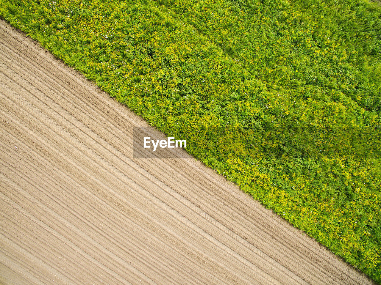 FULL FRAME SHOT OF FOOTPATH AMIDST LAND