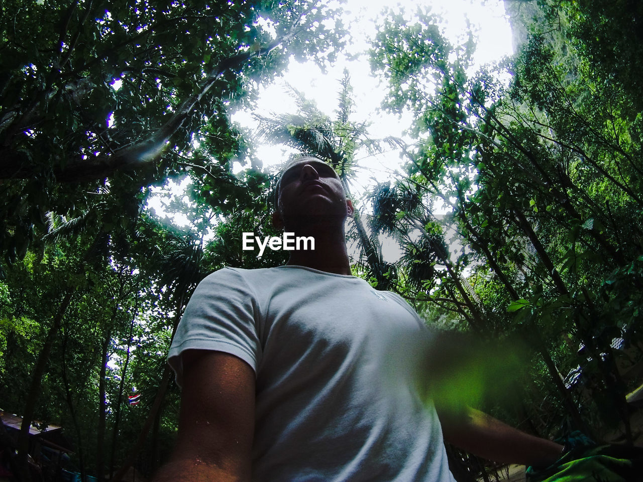 Low angle view of man walking in forest