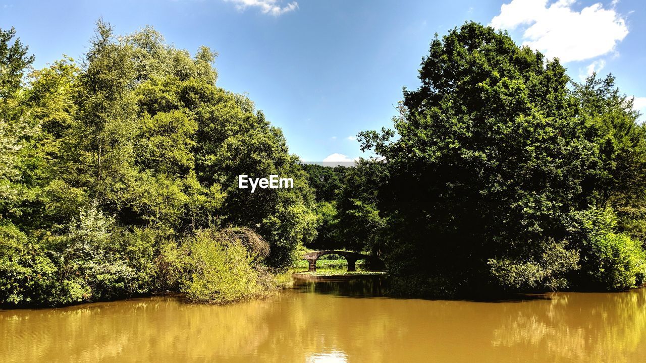 SCENIC VIEW OF LAKE AGAINST TREES