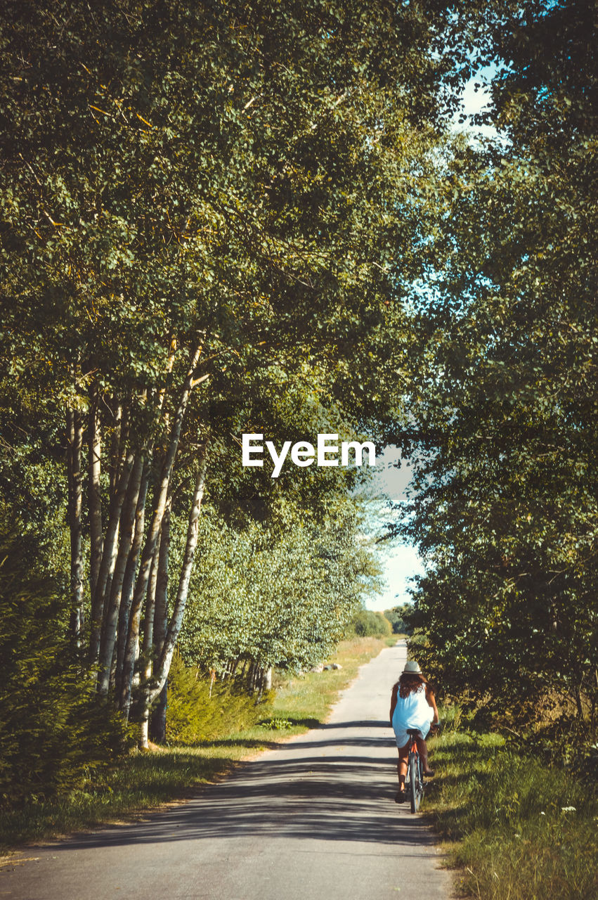 Rear view of woman riding bike on road amidst trees