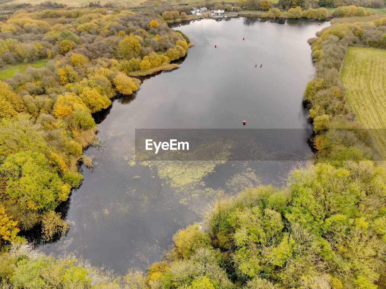 HIGH ANGLE VIEW OF TREES AND LAKE