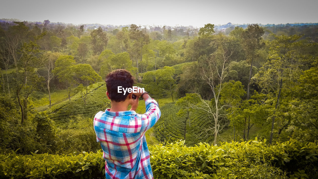 Rear view of man photographing by mobile phone at terraced field