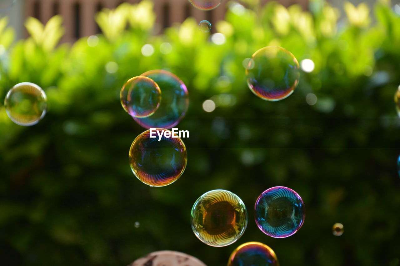 Close-up of bubbles in mid-air against plants