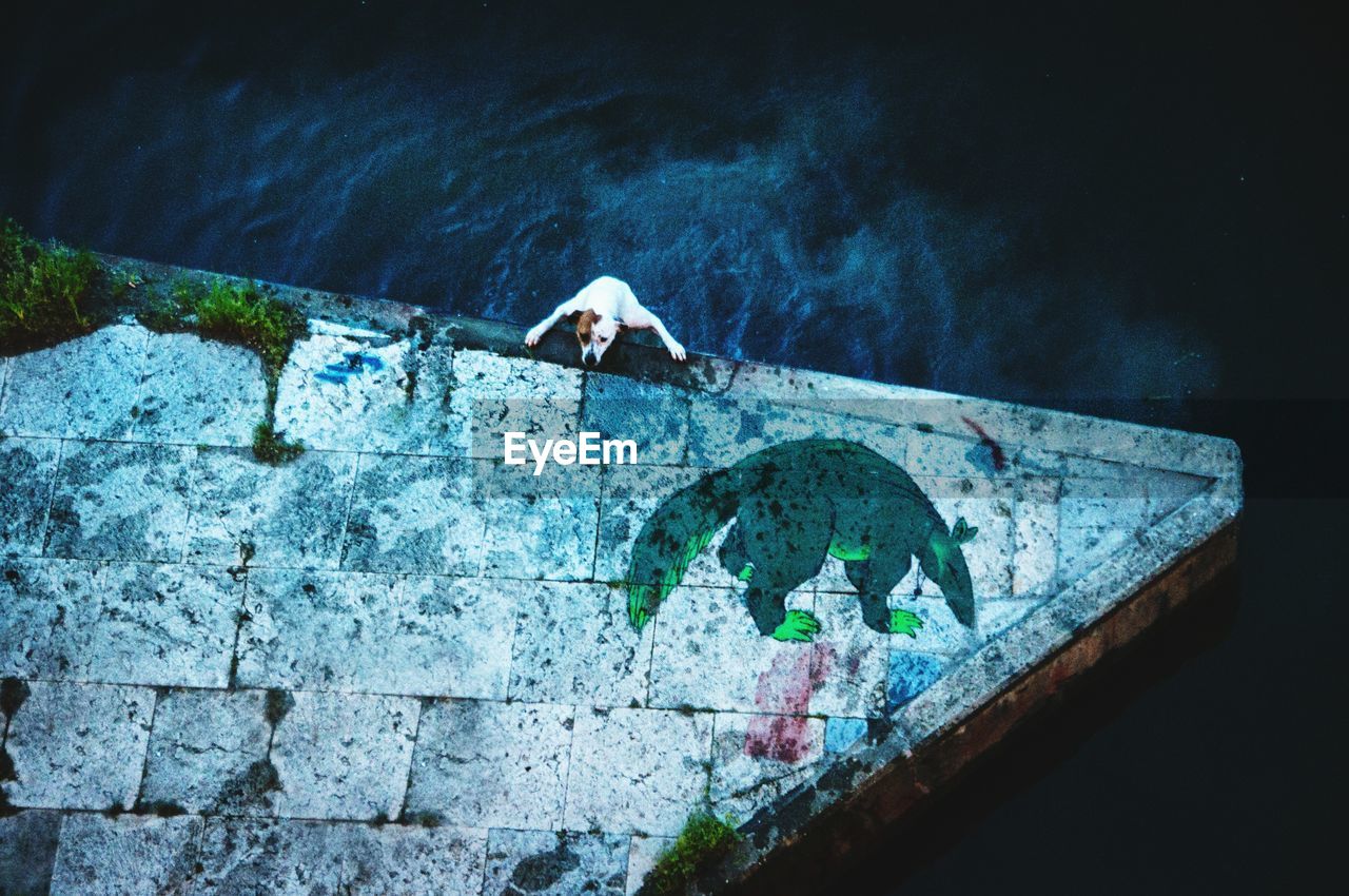 HIGH ANGLE VIEW OF WOMAN SWIMMING BY WALL