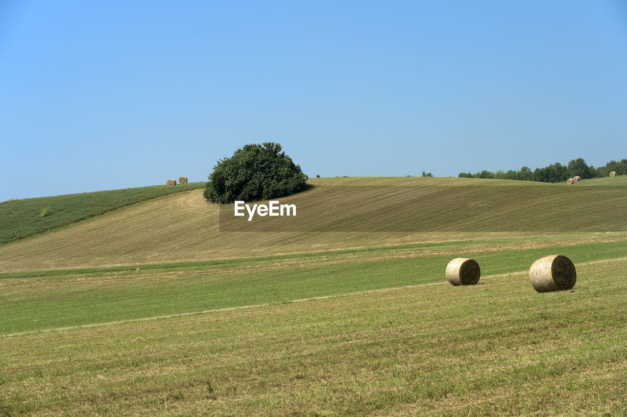 HAY BALES ON FIELD AGAINST BLUE SKY