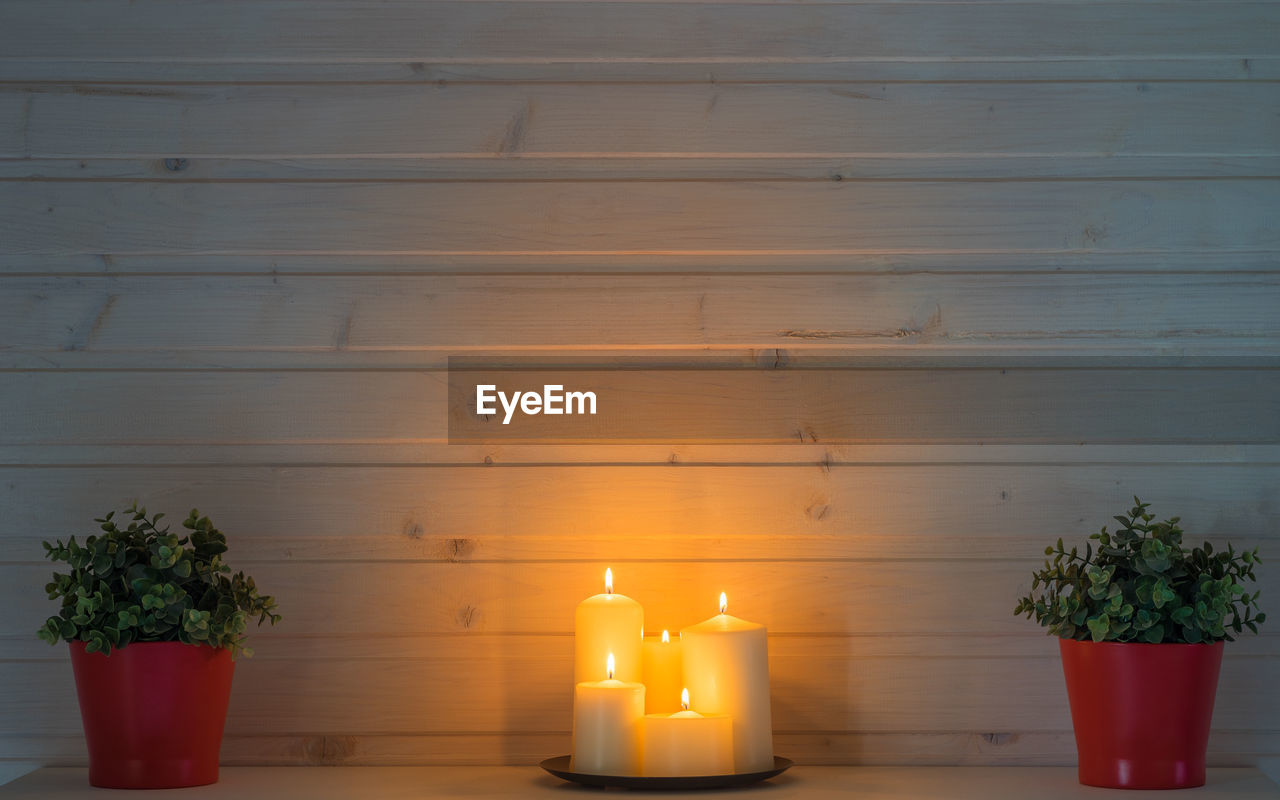 POTTED PLANT ON TABLE AGAINST ILLUMINATED WALL