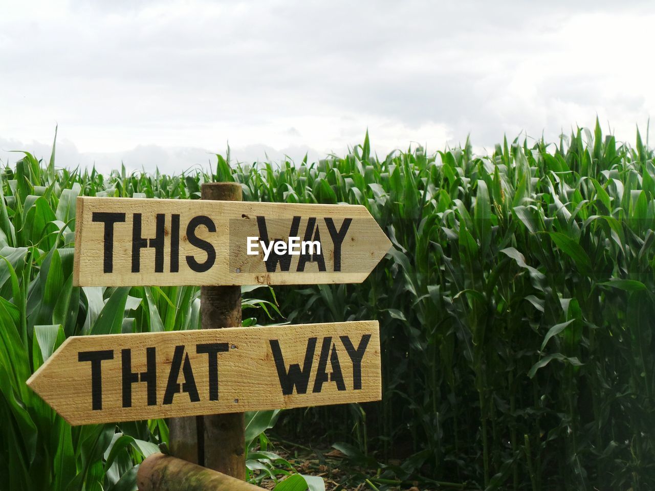 Close-up of wooden signboard by field against sky