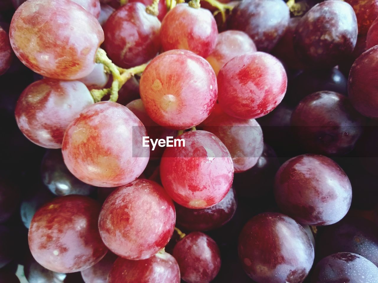 FULL FRAME SHOT OF FRUITS