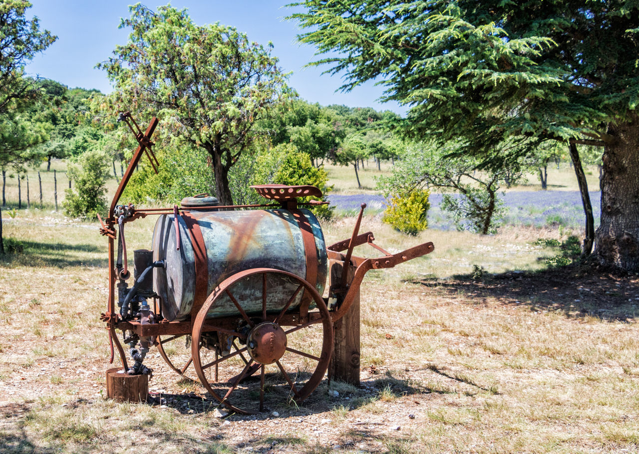 BICYCLE ON FIELD