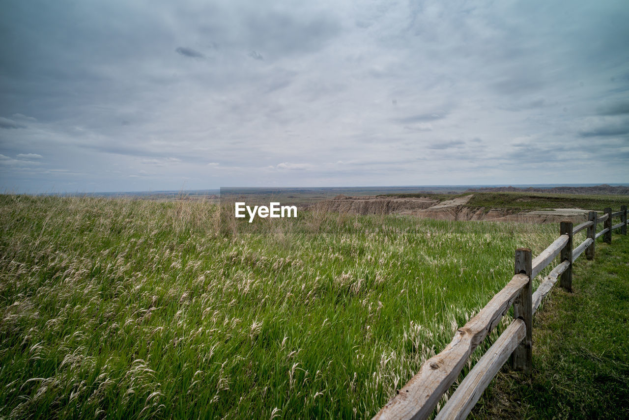 VIEW OF WHEAT FIELD AGAINST SKY