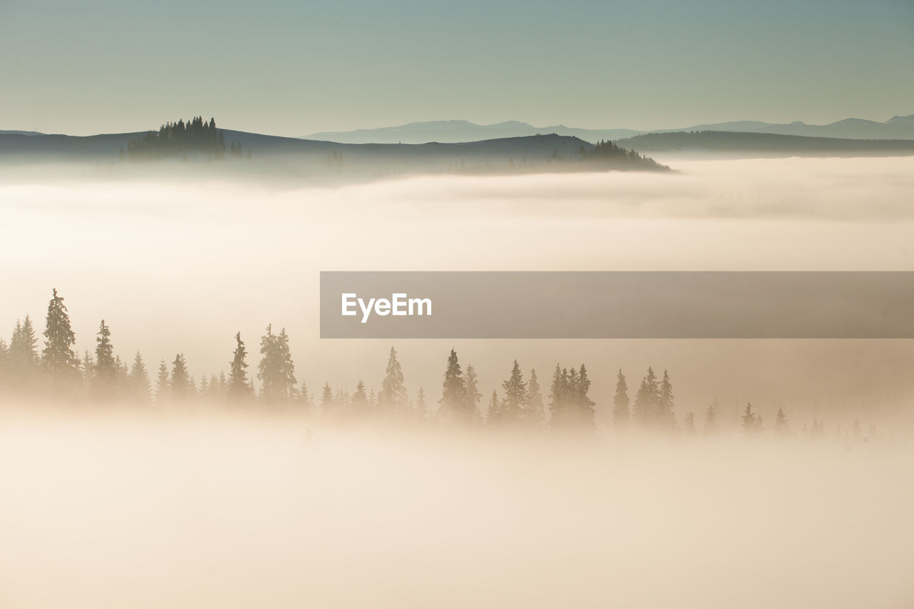 Scenic view of tree mountains against sky