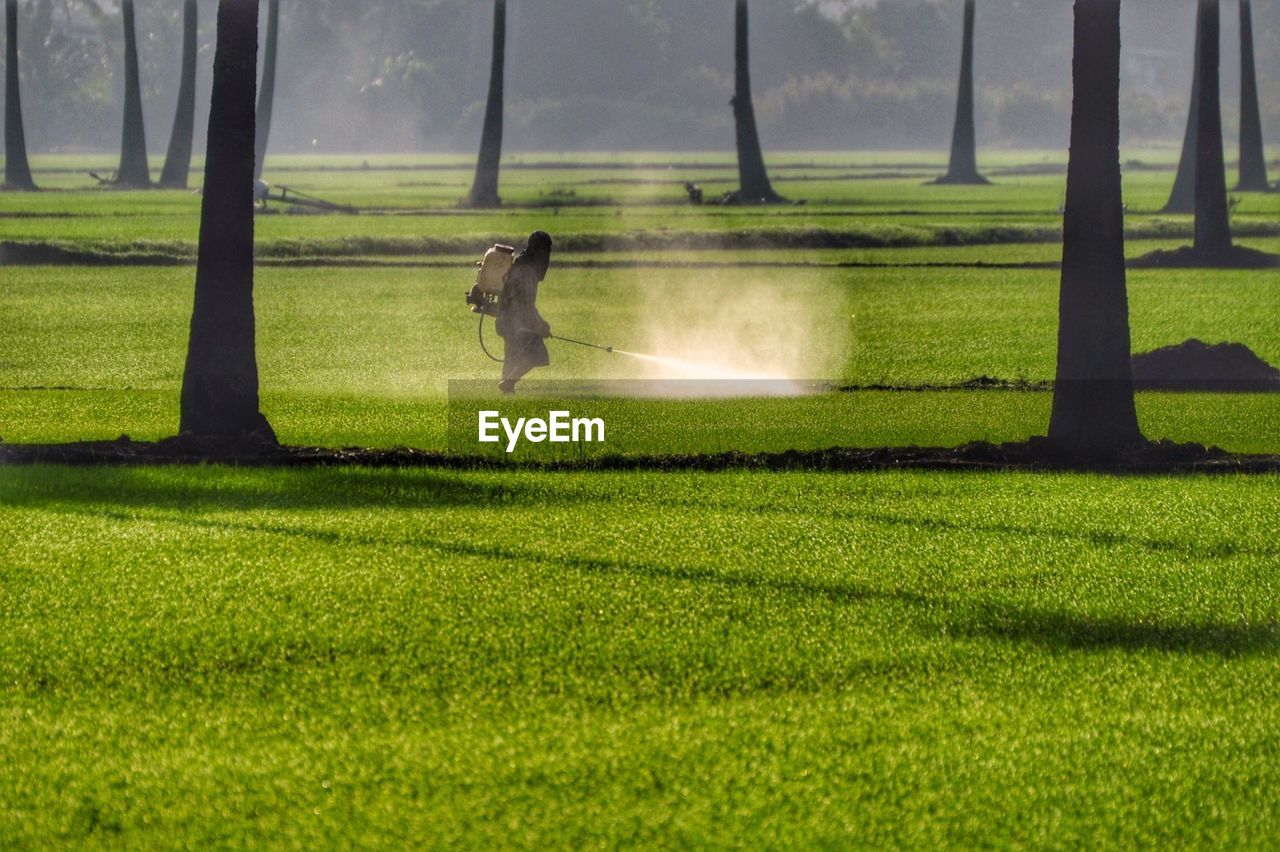 Man spraying pesticide on field