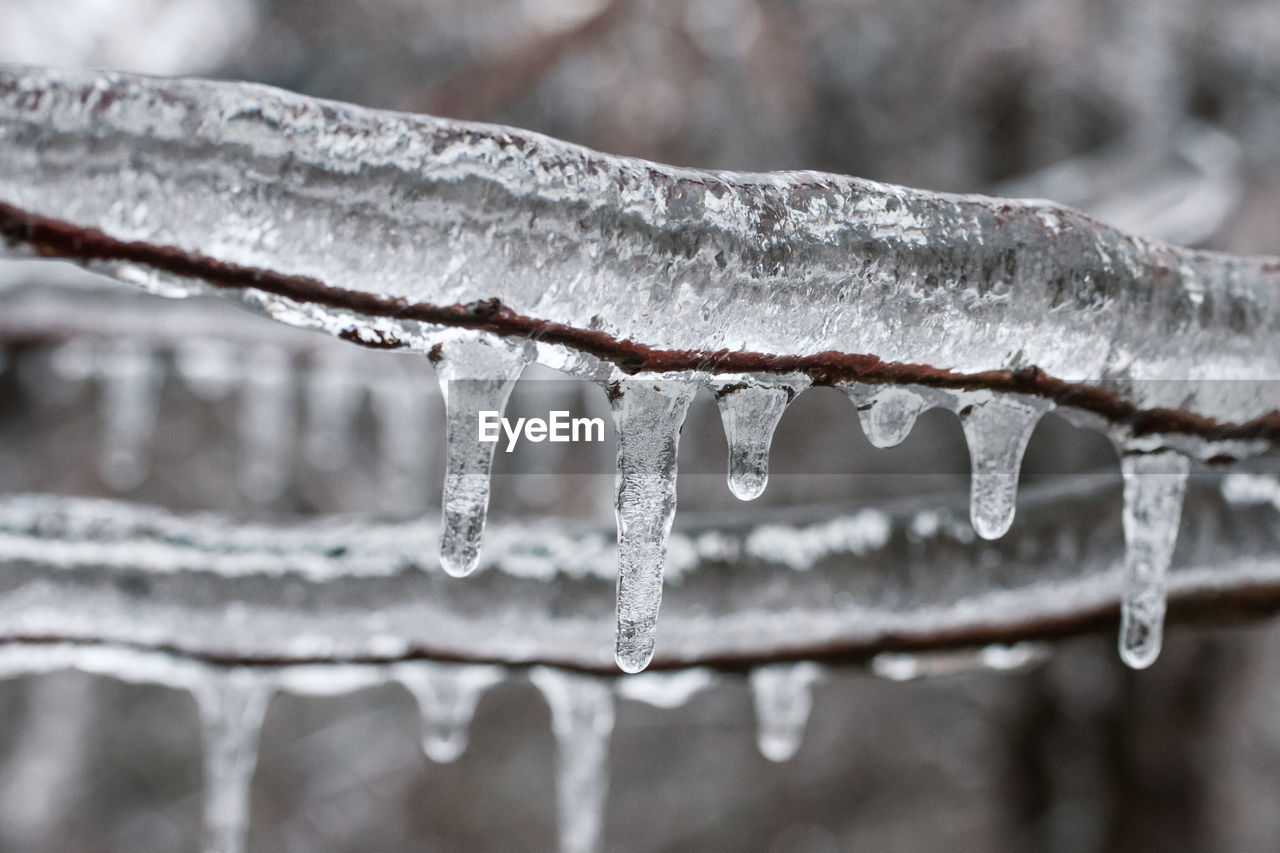 Close-up of frozen ice