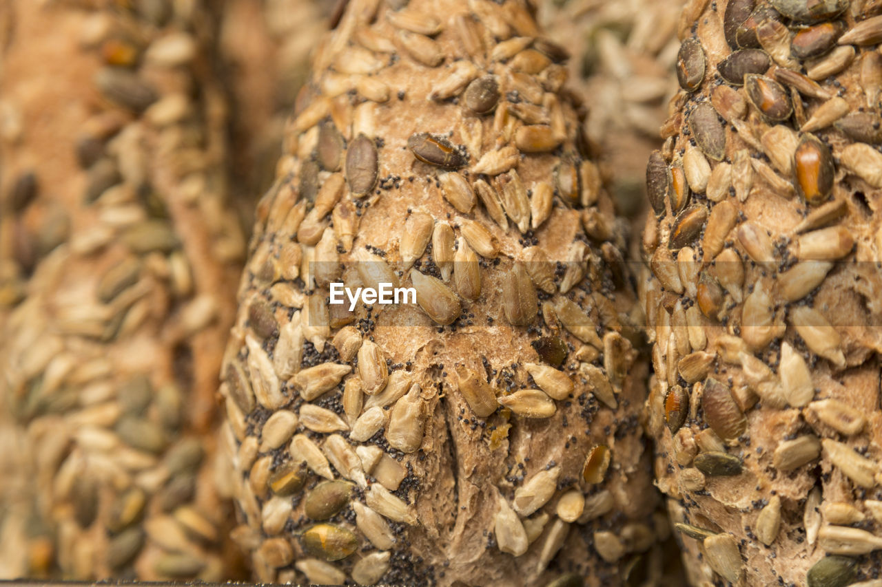 Detail of artisan gluten free seed bread