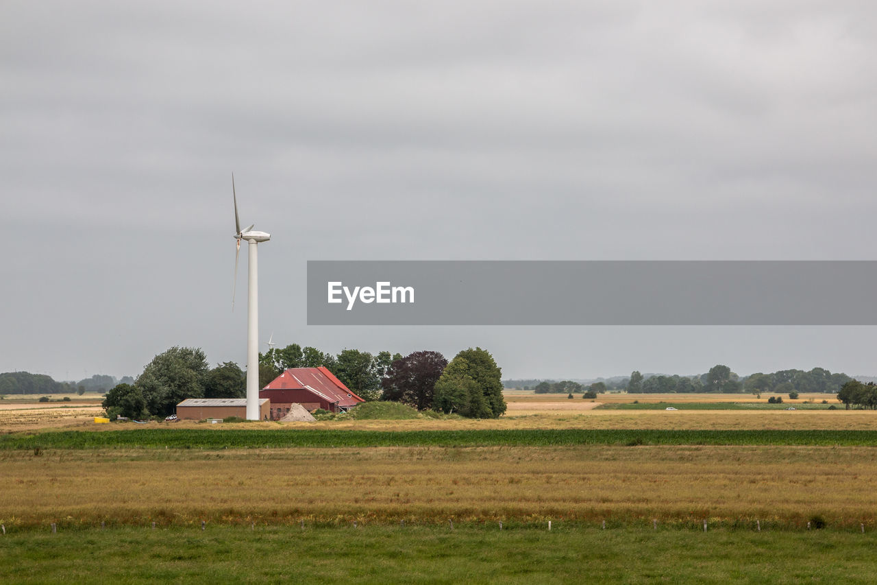 FIELD AGAINST SKY