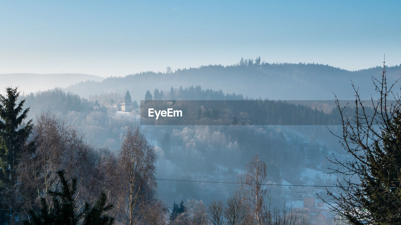 Scenic view of forest against sky