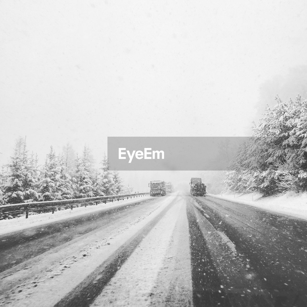 SNOW COVERED ROAD PASSING THROUGH TREES