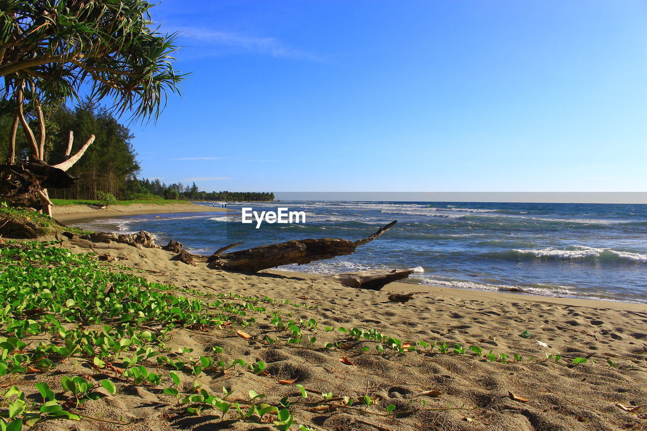 Scenic view of beach against blue sky