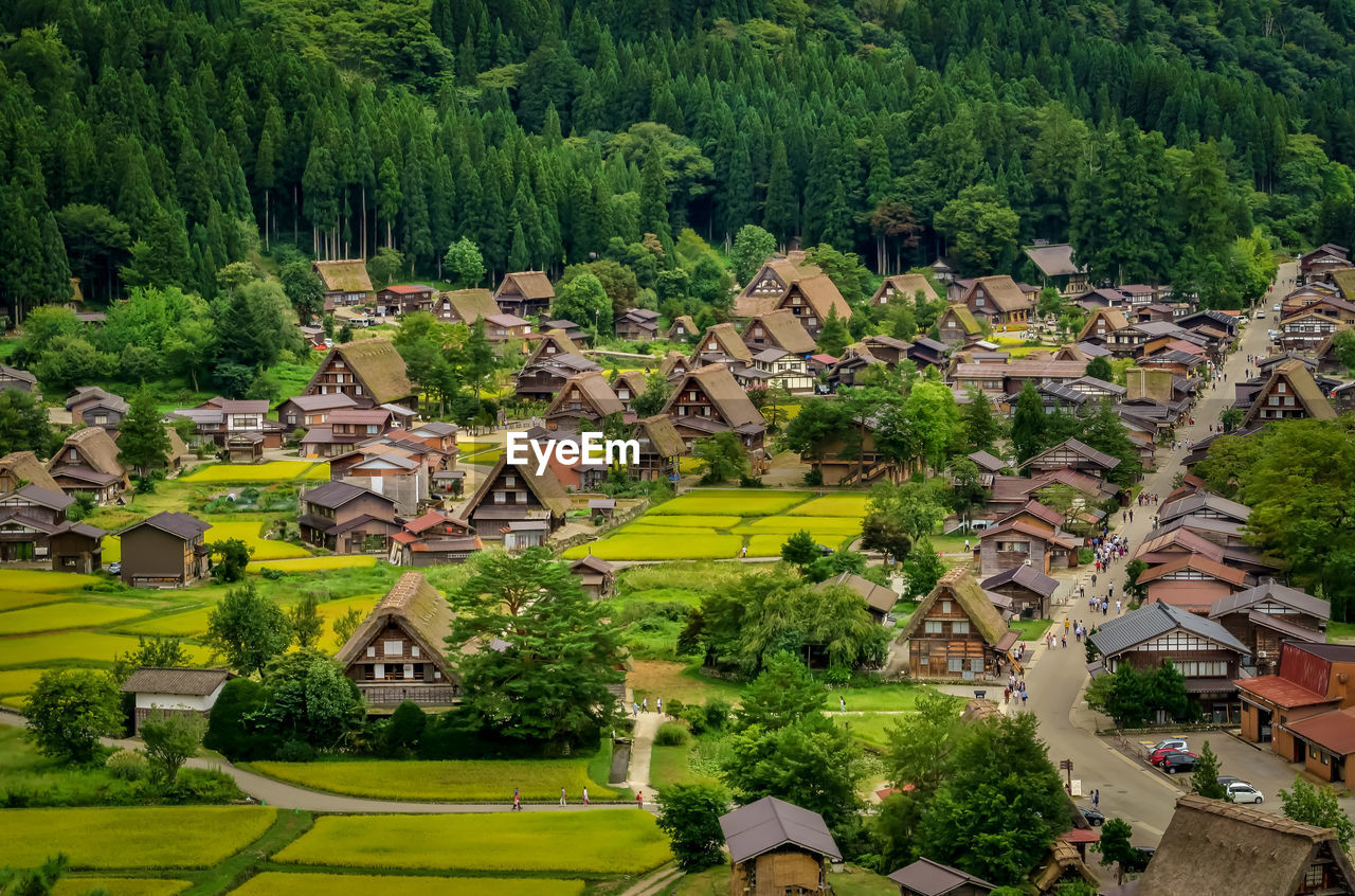Traditional and historical japanese village shirakawago in gifu prefecture japan.